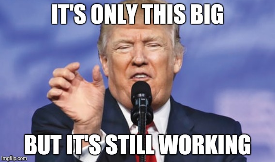 Size doesn't matter | IT'S ONLY THIS BIG; BUT IT'S STILL WORKING | image tagged in donald trump,trump,size matters,inches,political meme,new | made w/ Imgflip meme maker