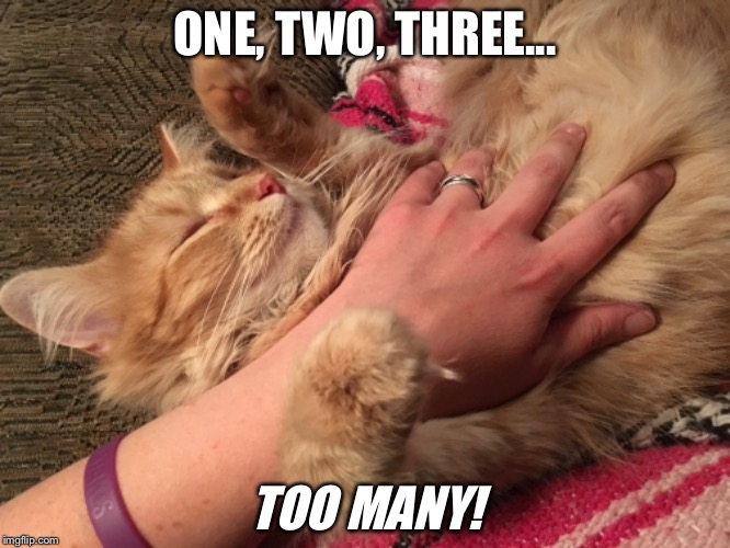Too many pets | ONE, TWO, THREE... TOO MANY! | image tagged in sunshine | made w/ Imgflip meme maker