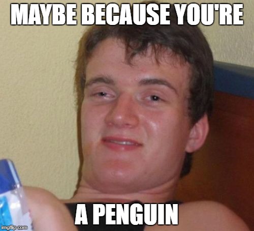 10 Guy Meme | MAYBE BECAUSE YOU'RE A PENGUIN | image tagged in memes,10 guy | made w/ Imgflip meme maker