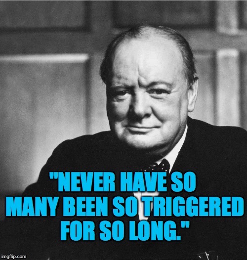 Churchill on reaction to Trump’s State of the Union speech | image tagged in memes,winston churchill,donald trump,state of the union,triggered,political meme | made w/ Imgflip meme maker