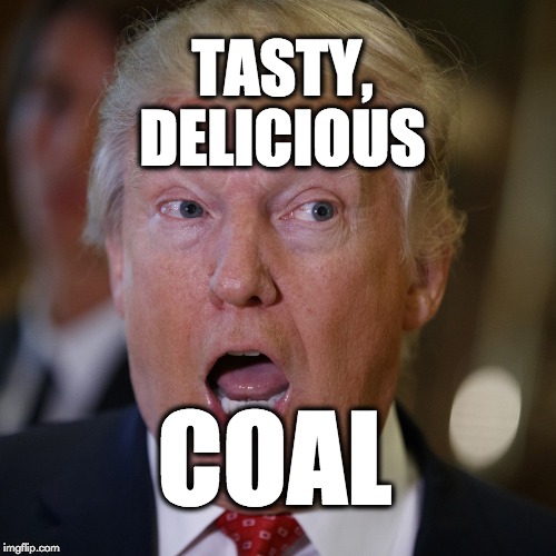 Tasty, delicious coal. | TASTY, DELICIOUS; COAL | image tagged in donaldtrump,ecology,trump,coal,fossilfuel,pollution | made w/ Imgflip meme maker