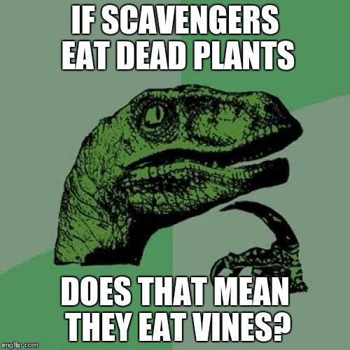 Philosoraptor | IF SCAVENGERS EAT DEAD PLANTS; DOES THAT MEAN THEY EAT VINES? | image tagged in memes,philosoraptor | made w/ Imgflip meme maker