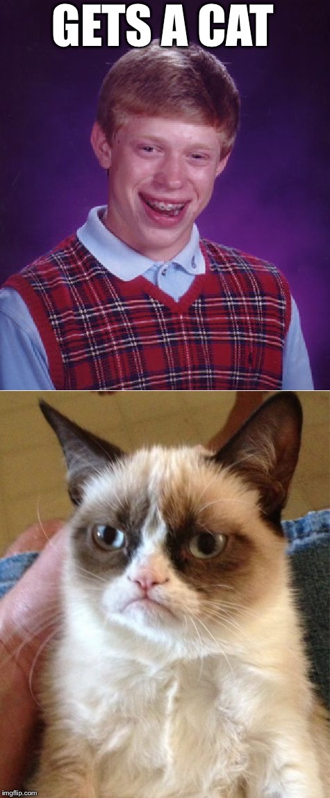 Bad Luck Brian gets a cat | GETS A CAT | image tagged in memes,grumpy cat,bad luck brian,cats,no dogs | made w/ Imgflip meme maker