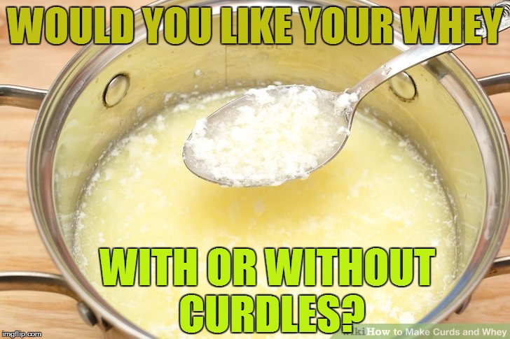 WOULD YOU LIKE YOUR WHEY WITH OR WITHOUT CURDLES? | made w/ Imgflip meme maker