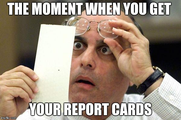 Paper recive  | THE MOMENT WHEN YOU GET; YOUR REPORT CARDS | image tagged in reporter | made w/ Imgflip meme maker