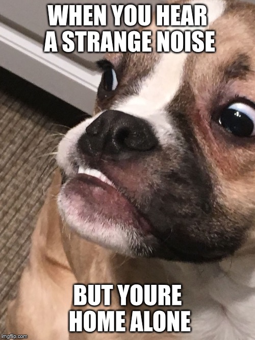 WHEN YOU HEAR A STRANGE NOISE; BUT YOURE HOME ALONE | made w/ Imgflip meme maker