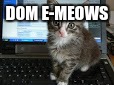 DOM E-MEOWS | image tagged in e-meows | made w/ Imgflip meme maker