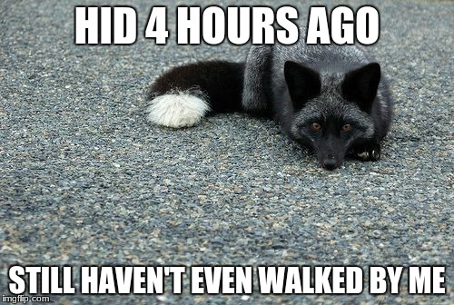 HID 4 HOURS AGO; STILL HAVEN'T EVEN WALKED BY ME | image tagged in blends in | made w/ Imgflip meme maker