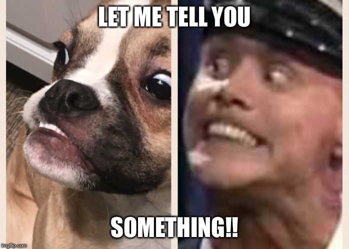 LET ME TELL YOU; SOMETHING!! | image tagged in let me tell you sumthin | made w/ Imgflip meme maker