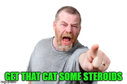 GET THAT CAT SOME STEROIDS | made w/ Imgflip meme maker