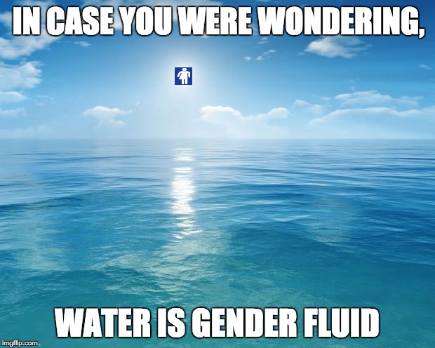 ocean | IN CASE YOU WERE WONDERING, WATER IS GENDER FLUID | image tagged in ocean | made w/ Imgflip meme maker