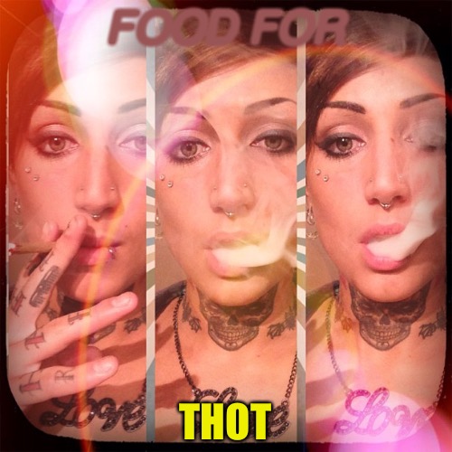 Food For THOTs | FOOD FOR; THOT | image tagged in thots,hoes,stds,aids,mgtow,skank | made w/ Imgflip meme maker