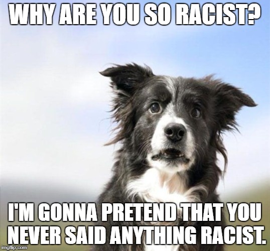 Surprised Border Collie | WHY ARE YOU SO RACIST? I'M GONNA PRETEND THAT YOU NEVER SAID ANYTHING RACIST. | image tagged in surprised border collie | made w/ Imgflip meme maker