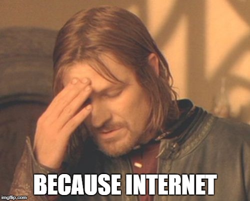 Frustrated Boromir Meme | BECAUSE INTERNET | image tagged in memes,frustrated boromir | made w/ Imgflip meme maker