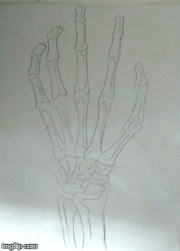 image tagged in gifs | made w/ Imgflip images-to-gif maker