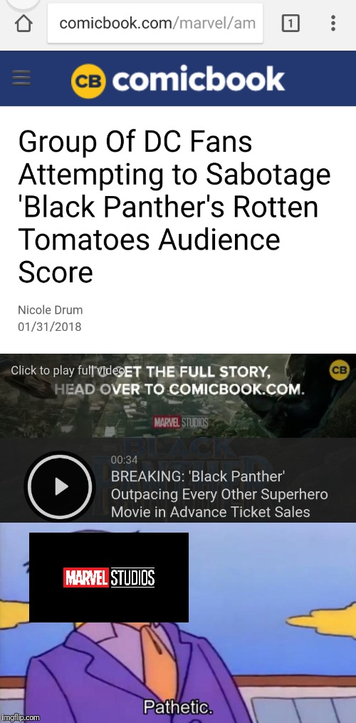 That's just sad | image tagged in black panther,dc comics,fanboys,simpsons,pathetic | made w/ Imgflip meme maker