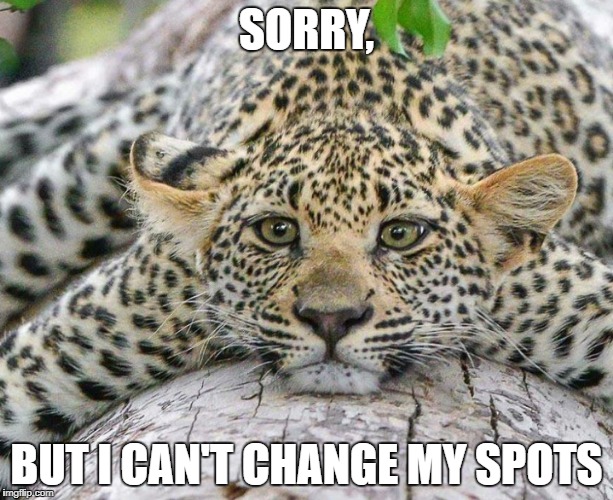 Confession Leopard | SORRY, BUT I CAN'T CHANGE MY SPOTS | image tagged in confession leopard | made w/ Imgflip meme maker