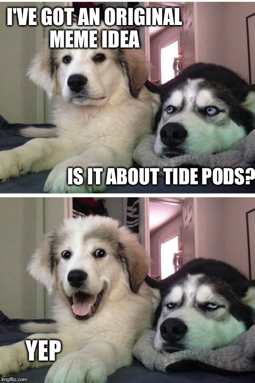 Bad pun dogs | I'VE GOT AN ORIGINAL MEME IDEA; IS IT ABOUT TIDE PODS? YEP | image tagged in bad pun dogs | made w/ Imgflip meme maker