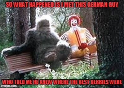 SO WHAT HAPPENED IS I MET THIS GERMAN GUY WHO TOLD ME HE KNEW WHERE THE BEST BERRIES WERE | made w/ Imgflip meme maker
