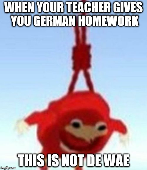 This is not the way | WHEN YOUR TEACHER GIVES YOU GERMAN HOMEWORK; THIS IS NOT DE WAE | image tagged in ungandan knuckles,uganda,ugandan knuckles,homework,de wae,uganda knuckles | made w/ Imgflip meme maker