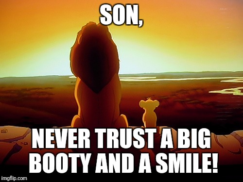 Lion King | SON, NEVER TRUST A BIG BOOTY AND A SMILE! | image tagged in memes,lion king | made w/ Imgflip meme maker