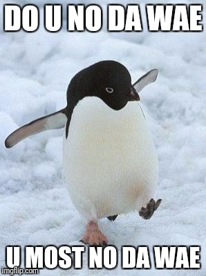 penguin | DO U NO DA WAE; U MOST NO DA WAE | image tagged in penguin | made w/ Imgflip meme maker