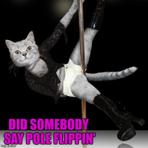 DID SOMEBODY SAY POLE FLIPPIN' | made w/ Imgflip meme maker