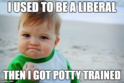 Success Kid Original Meme | I USED TO BE A LIBERAL; THEN I GOT POTTY TRAINED | image tagged in memes,success kid original | made w/ Imgflip meme maker