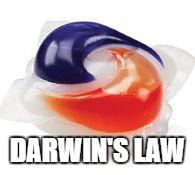 Tide Pod | DARWIN'S LAW | image tagged in tide pod | made w/ Imgflip meme maker