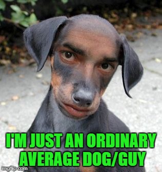 I'M JUST AN ORDINARY AVERAGE DOG/GUY | made w/ Imgflip meme maker