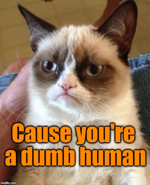 Grumpy Cat Meme | Cause you're a dumb human | image tagged in memes,grumpy cat | made w/ Imgflip meme maker