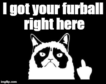 I got your furball right here | made w/ Imgflip meme maker