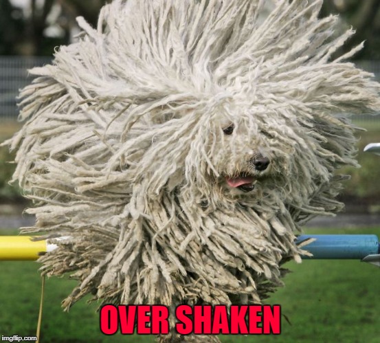 OVER SHAKEN | made w/ Imgflip meme maker