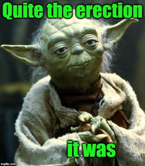 Star Wars Yoda Meme | Quite the erection it was | image tagged in memes,star wars yoda | made w/ Imgflip meme maker