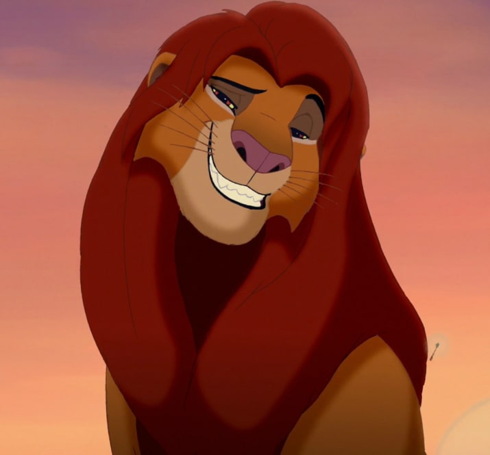 High Quality Simba Blank Meme Template