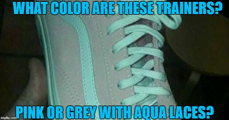 WHAT COLOR ARE THESE TRAINERS? PINK OR GREY WITH AQUA LACES? | image tagged in trainer colours | made w/ Imgflip meme maker