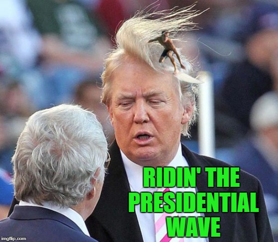 After watching the State of the Union Address I'm.... | RIDIN' THE PRESIDENTIAL WAVE | image tagged in donald trump,memes,state of the union,funny,trump | made w/ Imgflip meme maker