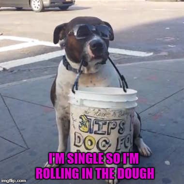 I'M SINGLE SO I'M ROLLING IN THE DOUGH | made w/ Imgflip meme maker