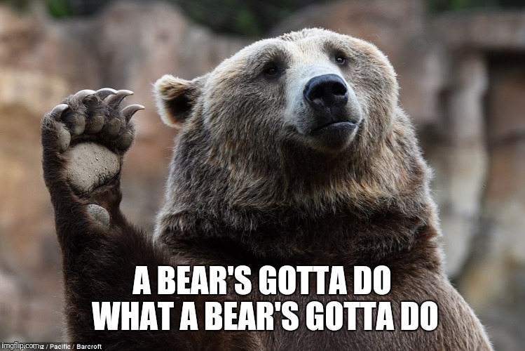 A BEAR'S GOTTA DO WHAT A BEAR'S GOTTA DO | made w/ Imgflip meme maker