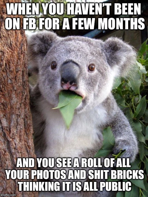 shocked koala | WHEN YOU HAVEN’T BEEN ON FB FOR A FEW MONTHS; AND YOU SEE A ROLL OF ALL YOUR PHOTOS AND SHIT BRICKS THINKING IT IS ALL PUBLIC | image tagged in shocked koala | made w/ Imgflip meme maker