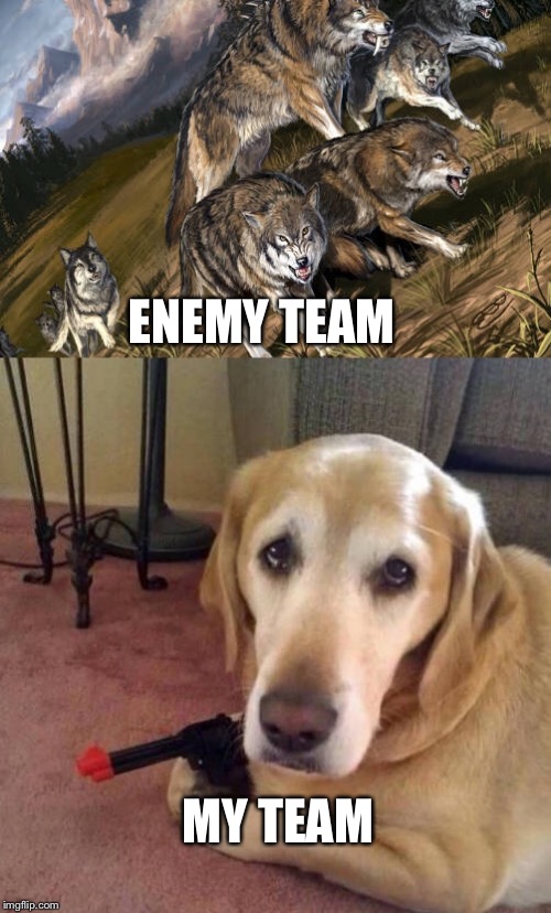 My team vs the enemy team.  | ENEMY TEAM; MY TEAM | image tagged in dogs,pubg,my team | made w/ Imgflip meme maker