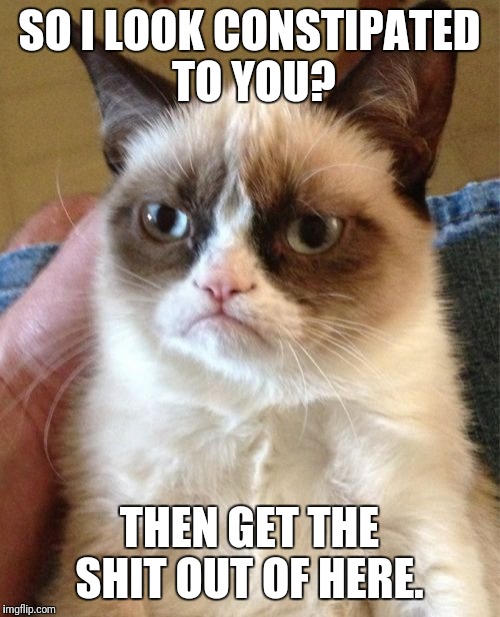 Grumpy Cat | SO I LOOK CONSTIPATED TO YOU? THEN GET THE SHIT OUT OF HERE. | image tagged in memes,grumpy cat | made w/ Imgflip meme maker