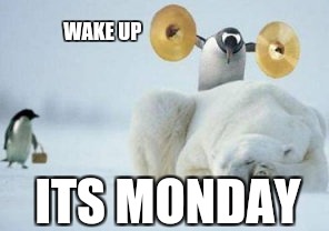 Funny Penguin | WAKE UP; ITS MONDAY | image tagged in funny penguin | made w/ Imgflip meme maker