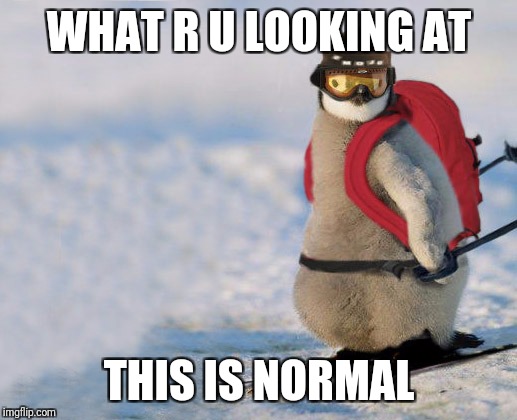 Skiing Penguin | WHAT R U LOOKING AT; THIS IS NORMAL | image tagged in skiing penguin | made w/ Imgflip meme maker