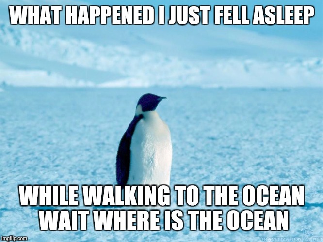 Lonely Penguin | WHAT HAPPENED I JUST FELL ASLEEP; WHILE WALKING TO THE OCEAN WAIT WHERE IS THE OCEAN | image tagged in lonely penguin | made w/ Imgflip meme maker