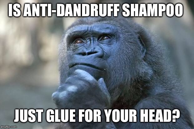 that is the question | IS ANTI-DANDRUFF SHAMPOO; JUST GLUE FOR YOUR HEAD? | image tagged in that is the question | made w/ Imgflip meme maker
