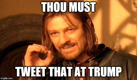 One Does Not Simply Meme | THOU MUST TWEET THAT AT TRUMP | image tagged in memes,one does not simply | made w/ Imgflip meme maker
