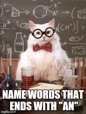 Smart cat | NAME WORDS THAT ENDS WITH "AN" | image tagged in smart cat | made w/ Imgflip meme maker