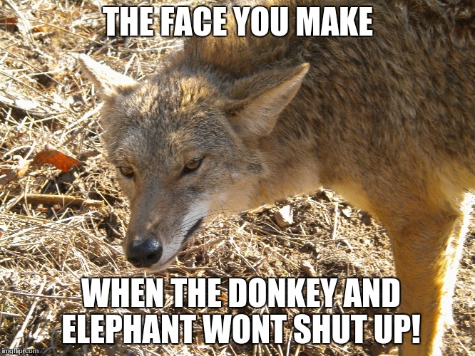 Coyote | THE FACE YOU MAKE; WHEN THE DONKEY AND ELEPHANT WONT SHUT UP! | image tagged in coyote | made w/ Imgflip meme maker
