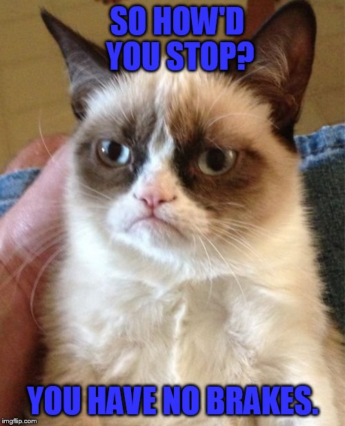 Grumpy Cat Meme | SO HOW'D YOU STOP? YOU HAVE NO BRAKES. | image tagged in memes,grumpy cat | made w/ Imgflip meme maker